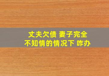 丈夫欠债 妻子完全不知情的情况下 咋办